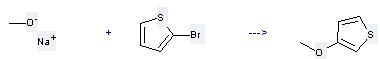 3-Methoxythiophene can be prepared by methanol; sodium salt with 2-bromo-thiophene.